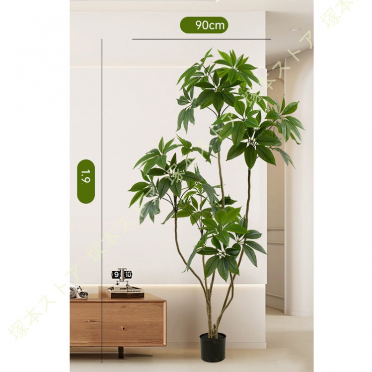 【癒しのグリーン】ツピタンサス（シェフレラ）3｜おしゃれで手間いらず！ 癒しのグリーン】ツピタンサス（シェフレラ）3｜おしゃれで手間