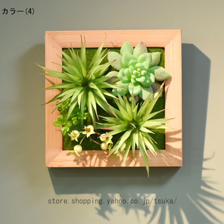 壁掛け 植物 シダ植物のおすすめ人気商品一覧 通販 - Yahoo!ショッピング