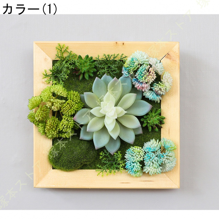 多肉植物 壁掛け 本物の商品一覧 通販 - Yahoo!ショッピング