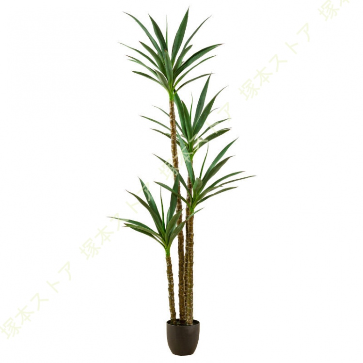 観葉植物 フェイクグリーン 盆栽 リアル おしゃれ 人工観葉植物