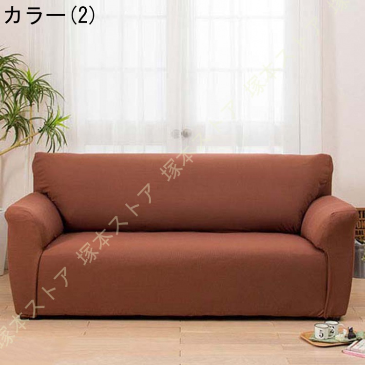 新品 未使用 ちゃぶ台 猫足 新生活 折りたたみ式 薔薇 バラ ベルーナ 楽天市場】バラ苗 【沙紗 (サーシャ)】 (新苗植え替え