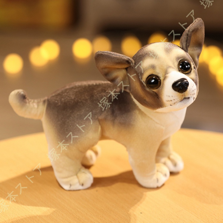 ぬいぐるみ 犬 マルチーズ 犬ぬいぐるみ ファーストトイ 動物 アニマル