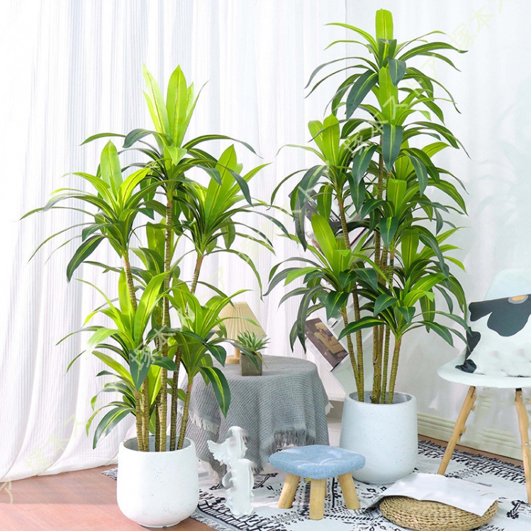ドラセナ フェイクグリーン 観葉植物 フェイク 人工観葉植物 リアル
