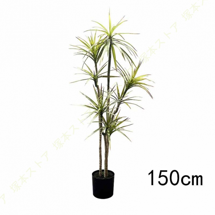 リアルな人工観葉植物 フェイクグリーン ドラセナ 風水 鉢植え 本物