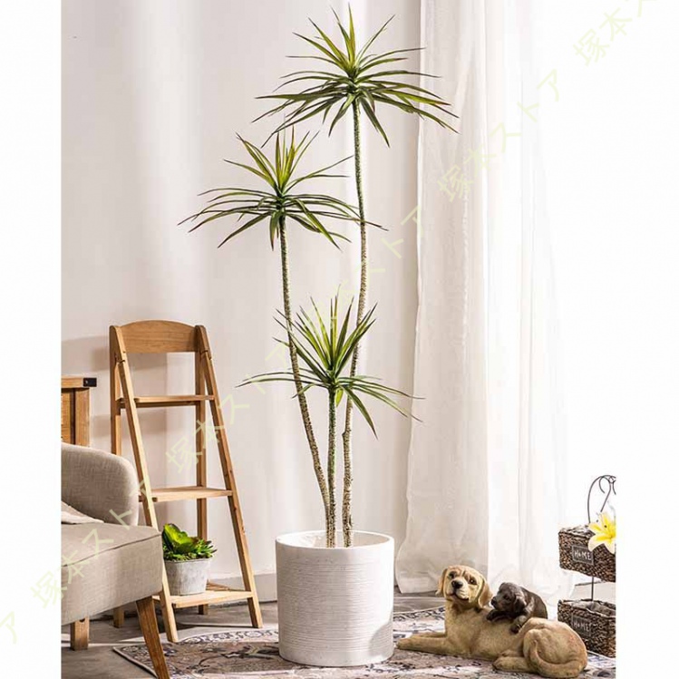 リアルな人工観葉植物 フェイクグリーン ドラセナ 風水 鉢植え 本物