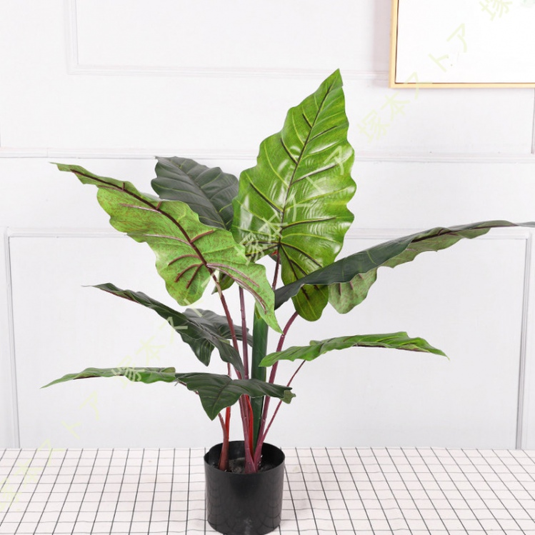 クワズイモ 観葉植物 人工 フェイクグリーン リビング 室内 オフィス 一人暮らし 緑 鉢植え インテリアグリーン 新生活 おしゃれ モダン 北欧 防汚 造花 観葉