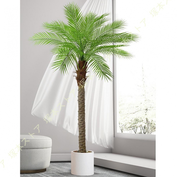 【最終値下げ‼️人気完売品‼️】ヤシの木風‼️大きい 大きな観葉植物 ゴージャス‼️+ おまけ 植木鉢カバー プレゼント‼️【ネット決済不可】 kd-f24g1913-z1.jpg