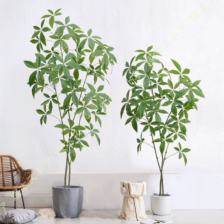 フェイクグリーン 大型 パキラ リアル 人工観葉植物 100cm 装飾 2750 楽天市場】フェイクグリーン 大型 パキラ リアル 人工観葉植物 観葉
