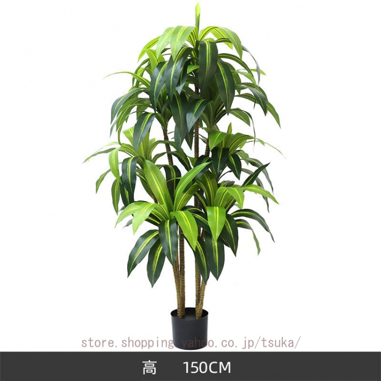 光触媒　人工観葉植物　フェイクグリーン　ドラセナ　幸福の木1.1 光触媒 人工観葉植物 幸福の木（ドラセナ）【光の楽園】