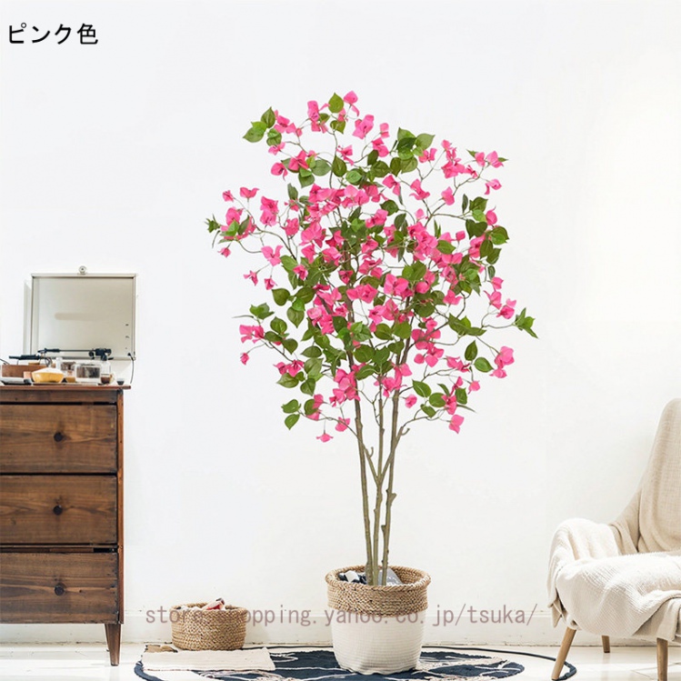 6i6-7s0-0yqm9m.jpg?size=n