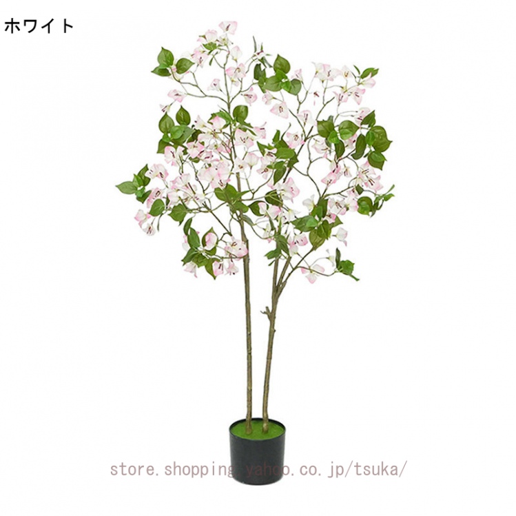 ブーゲンビリアのおすすめ人気商品一覧 通販 - Yahoo!ショッピング