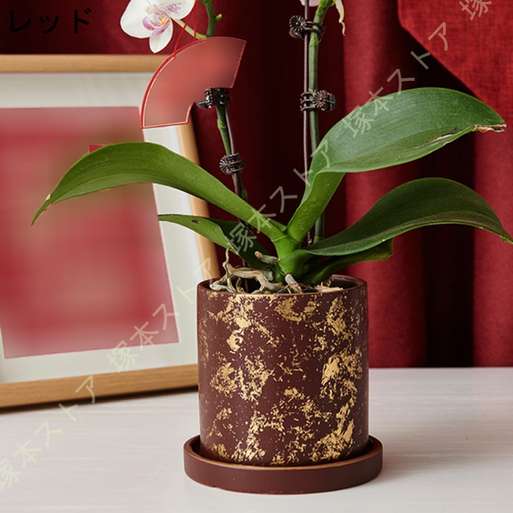 蘭鉢 陶器のおすすめ人気商品一覧 通販 - Yahoo!ショッピング