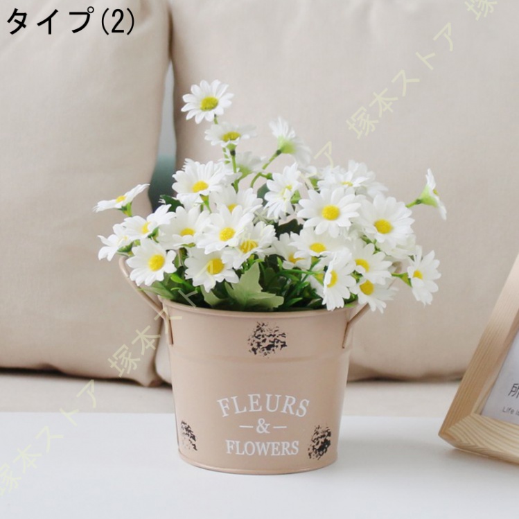 ベゴニア・マソニアナ × ブリキバケツ 観葉植物 ブリキ缶 鉢底穴あり 可愛いバケツ蛇口型 鉢 》プランツラウンド 観葉植物 多肉植物 お花の