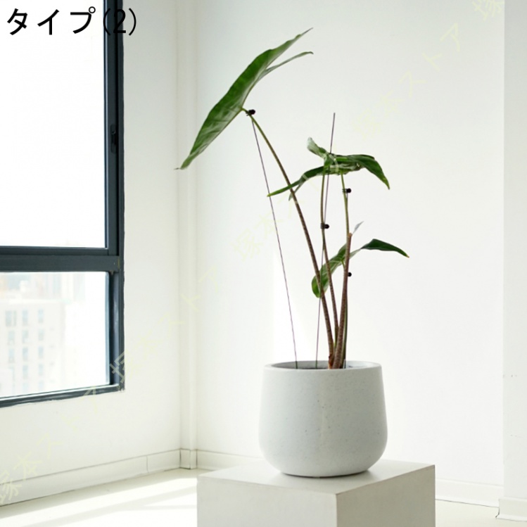 植木鉢 セメント製 北欧 アイデア植木鉢 底穴付き 通気性 シンプル 円形 ヨーロッパ調 鉢植え植物 多肉植物鉢 落地 鉢植え 室内 リビングの装飾 玄関 置物 花、ガーデニング 園芸用品 鉢、プランター 植木鉢 セメント製 北欧 アイデア植木鉢 底穴付き 通気性 シンプル 円形 ヨーロッパ調 鉢植え植物 多肉植物鉢 落地 鉢植え 室内 リビングの装飾 玄関 置物 花、ガーデニング 園芸用品 鉢、プランター