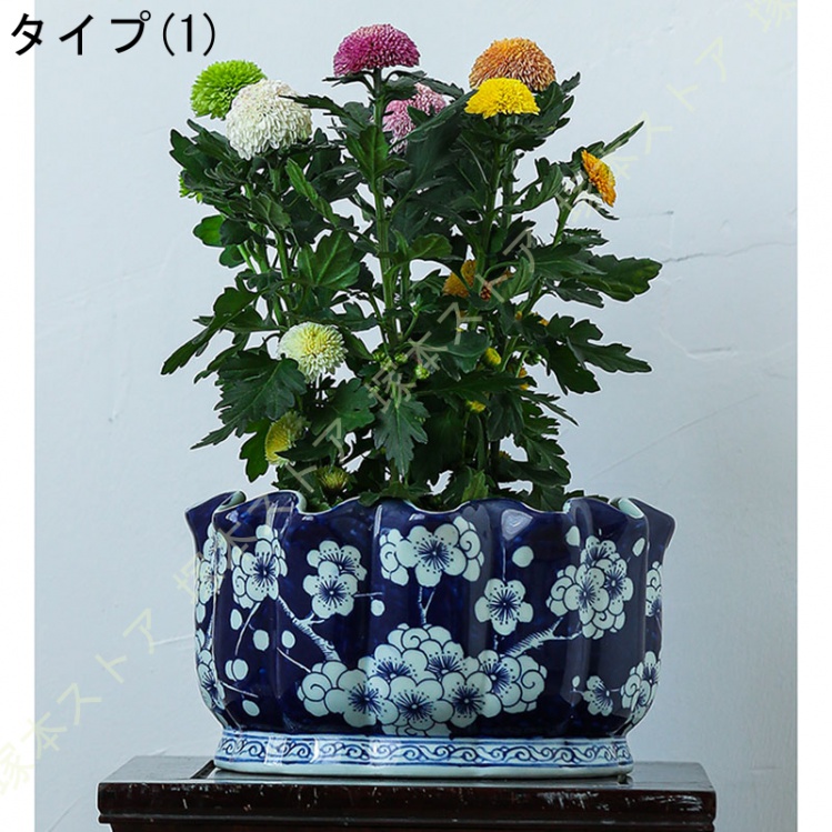 中国風（植木鉢）｜鉢、プランター｜園芸用品 | 花、ガーデニング の