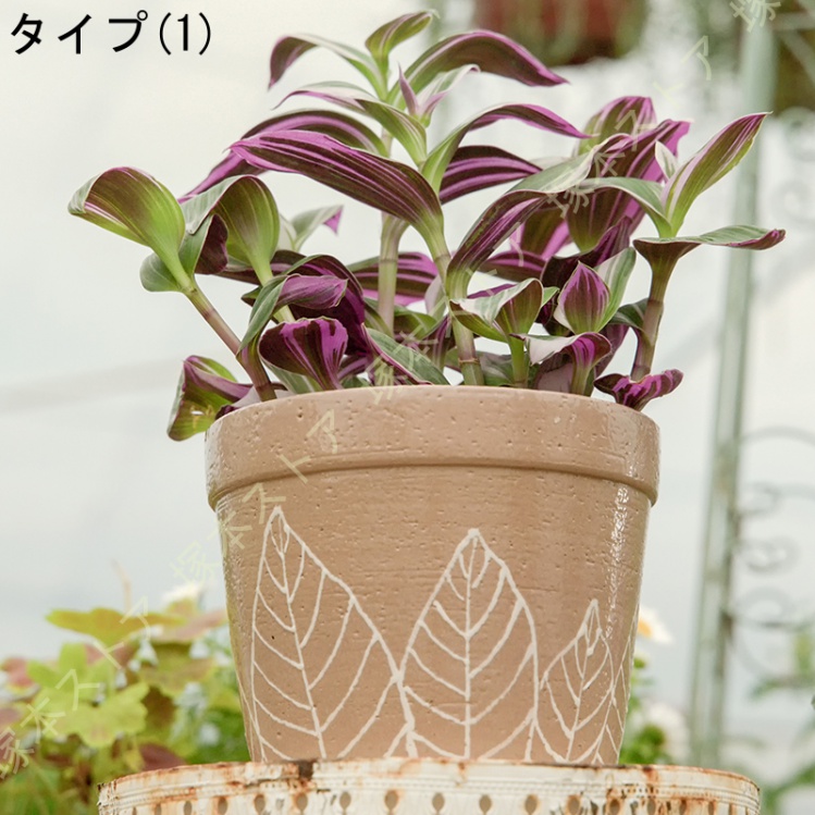 サボテン鉢 鉢植え 植木鉢 セラミック 北欧 おしゃれ 排水孔付き 田園風 通気性 モダン 小型 多肉植物鉢 プランター シンプル 個性的 円形 玄関 事務室_1