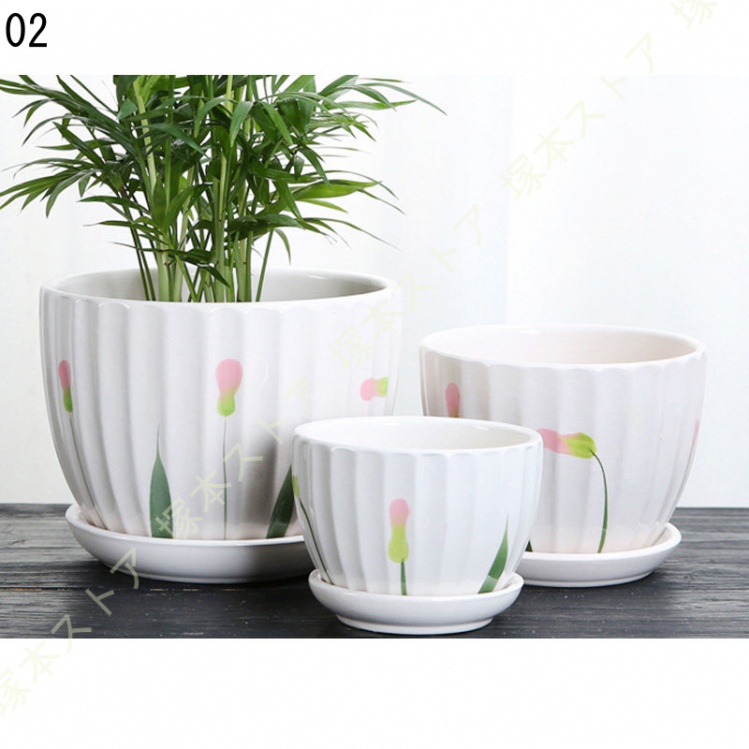 観葉植物 ミニ 観葉 小さい おしゃれ 白 小型 陶器 ポット ガジュマル 鉢 サンスベリア 金のなる木 パキラ 多幸の木 サンセベリア カポック 多肉植物 陶器 |  | 02