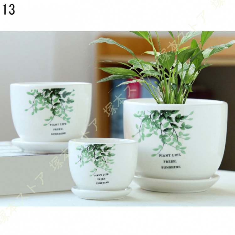 観葉植物 ミニ 観葉 小さい おしゃれ 白 小型 陶器 ポット ガジュマル 鉢 サンスベリア 金のなる木 パキラ 多幸の木 サンセベリア カポック 多肉植物 陶器 |  | 13