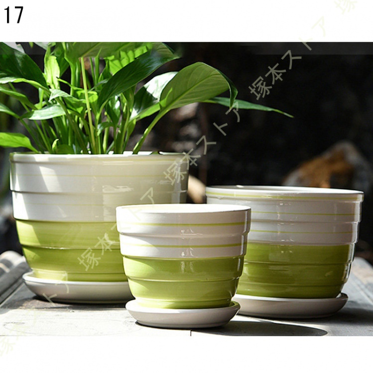 観葉植物 ミニ 観葉 小さい おしゃれ 白 小型 陶器 ポット ガジュマル 鉢 サンスベリア 金のなる木 パキラ 多幸の木 サンセベリア カポック 多肉植物 陶器 |  | 17