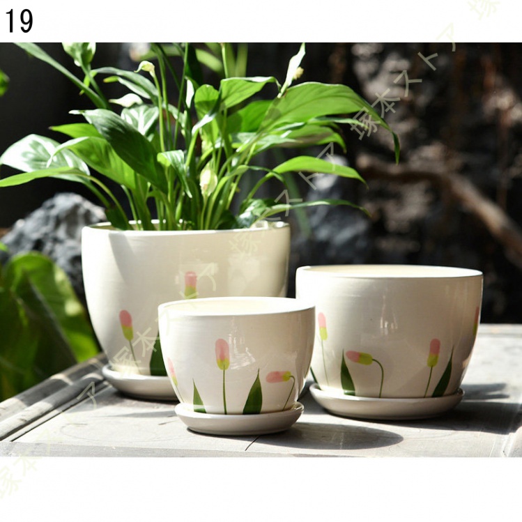 観葉植物 ミニ 観葉 小さい おしゃれ 白 小型 陶器 ポット ガジュマル 鉢 サンスベリア 金のなる木 パキラ 多幸の木 サンセベリア カポック 多肉植物 陶器 |  | 19