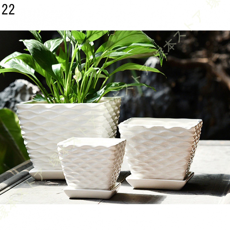 観葉植物 ミニ 観葉 小さい おしゃれ 白 小型 陶器 ポット ガジュマル 鉢 サンスベリア 金のなる木 パキラ 多幸の木 サンセベリア カポック 多肉植物 陶器 |  | 22