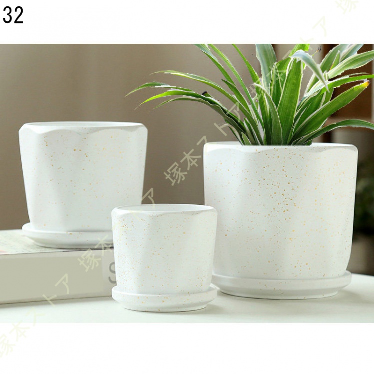 観葉植物 ミニ 観葉 小さい おしゃれ 白 小型 陶器 ポット ガジュマル 鉢 サンスベリア 金のなる木 パキラ 多幸の木 サンセベリア カポック 多肉植物 陶器 |  | 32