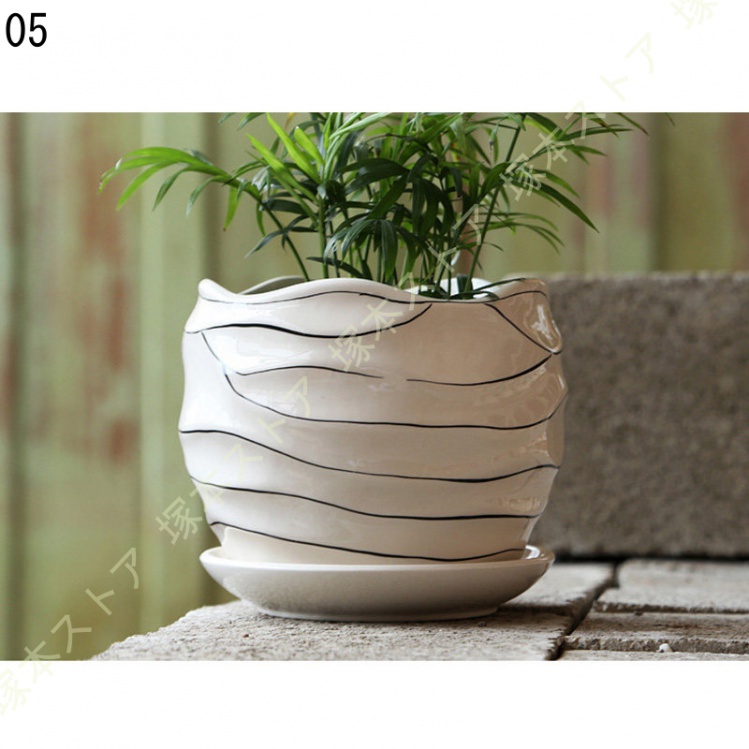 観葉植物 ミニ 観葉 小さい おしゃれ 白 小型 陶器 ポット ガジュマル 鉢 サンスベリア 金のなる木 パキラ 多幸の木 サンセベリア カポック 多肉植物 陶器 |  | 05