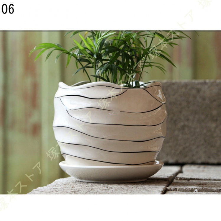 観葉植物 ミニ 観葉 小さい おしゃれ 白 小型 陶器 ポット ガジュマル 鉢 サンスベリア 金のなる木 パキラ 多幸の木 サンセベリア カポック 多肉植物 陶器 |  | 06