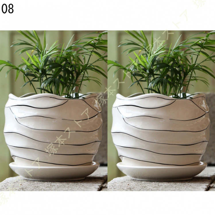 観葉植物 ミニ 観葉 小さい おしゃれ 白 小型 陶器 ポット ガジュマル 鉢 サンスベリア 金のなる木 パキラ 多幸の木 サンセベリア カポック 多肉植物 陶器 |  | 08
