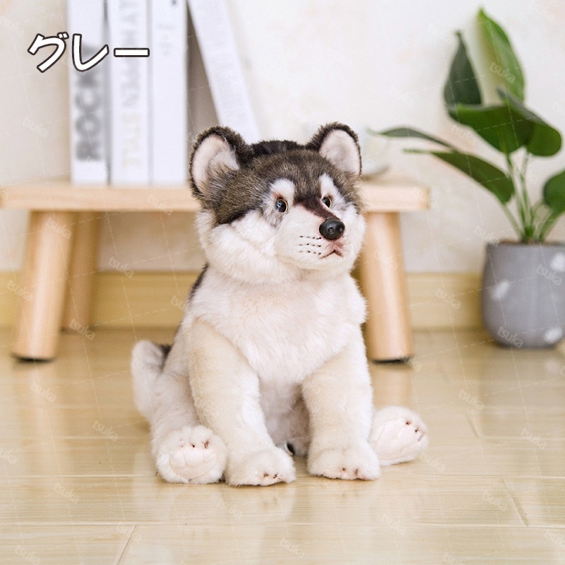 人気が高い  男の子 子供 人形 オオカミ ぬいぐるみ おもちゃ 装飾 ギフト ぬいぐるみ