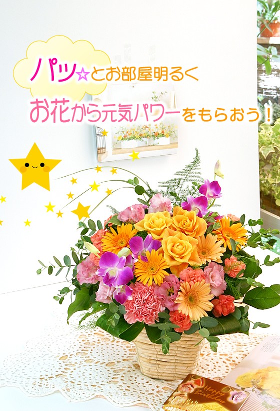 日本代拍: 花 ギフト 诞生日 プレゼント フラワーアレンジメント 送