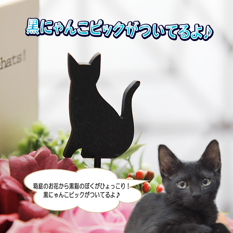 ソープフラワー 花 ギフト プレゼント キャットフラワー ボックス 猫