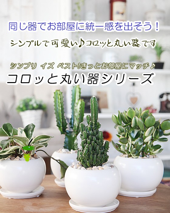 フラワーポケット 塚口ガーデン - コロッと白く丸い陶器鉢