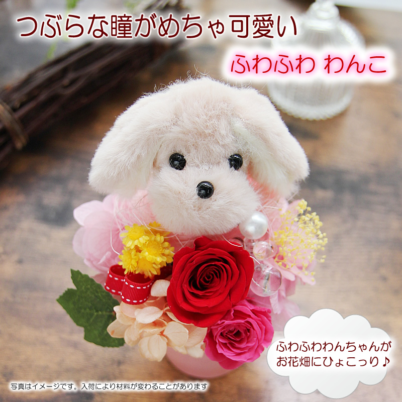 プリザーブドフラワー 花 ギフト プレゼント リニューアル ふわふわ