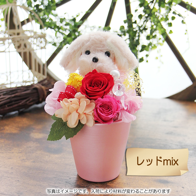 プリザーブドフラワー 花 ギフト プレゼント リニューアル