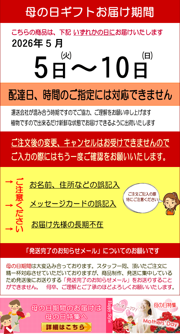 母の日