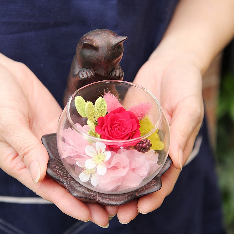 プリザーブドフラワー 花 ギフト プレゼント ねこ日和 猫 ケース入り
