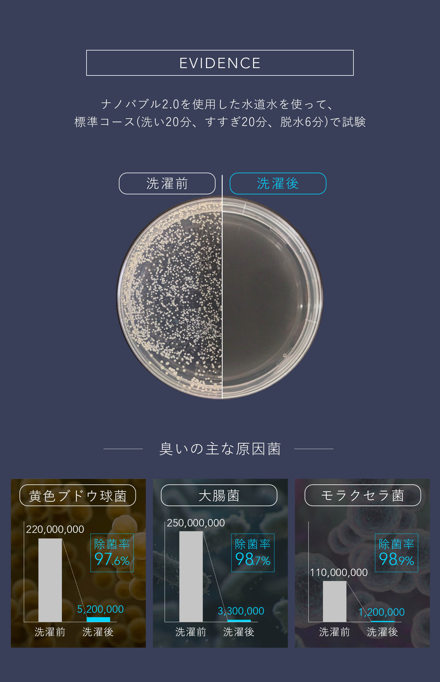 ナノバブルウォッシュ