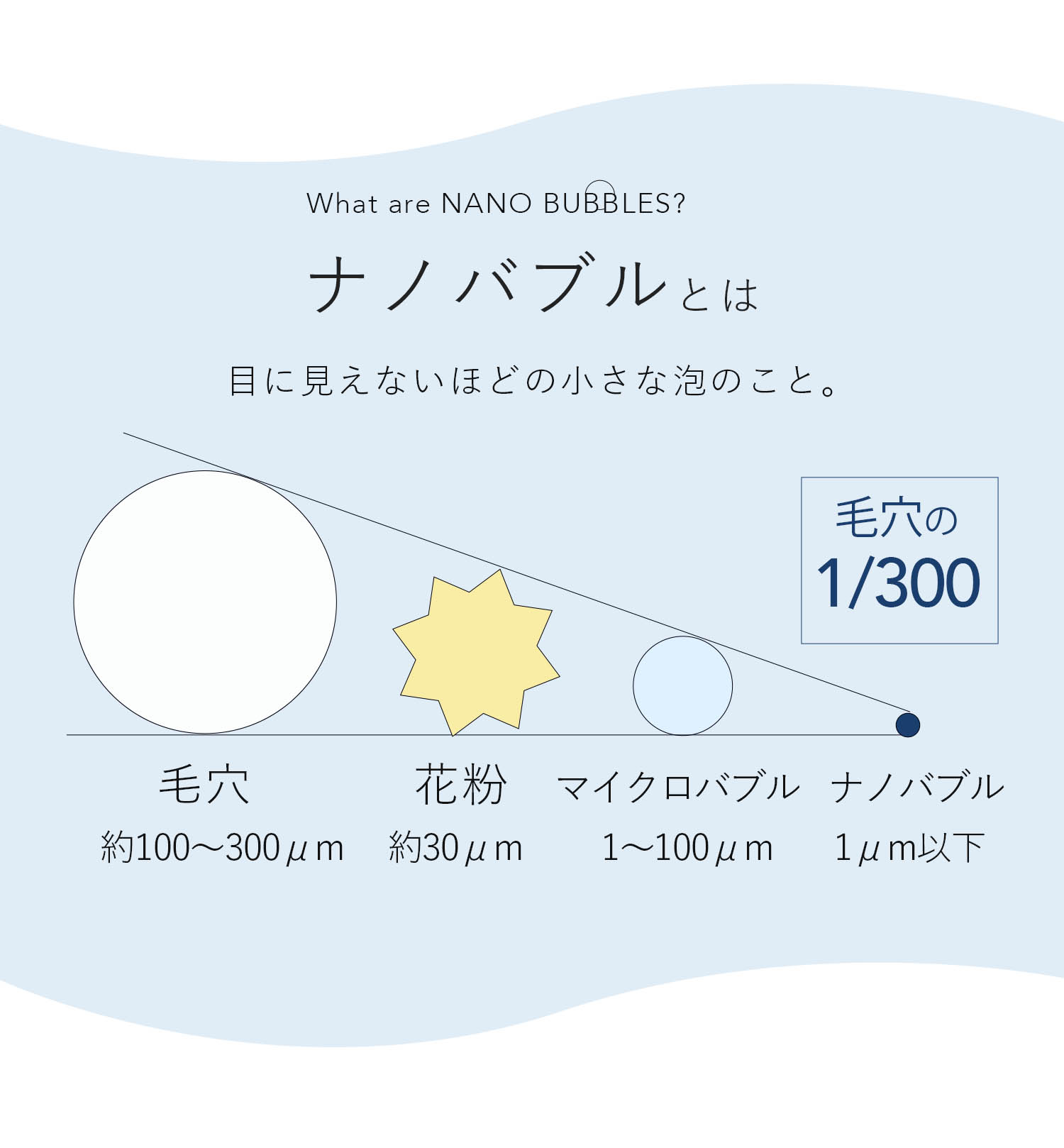 ナノバブルウォッシュ