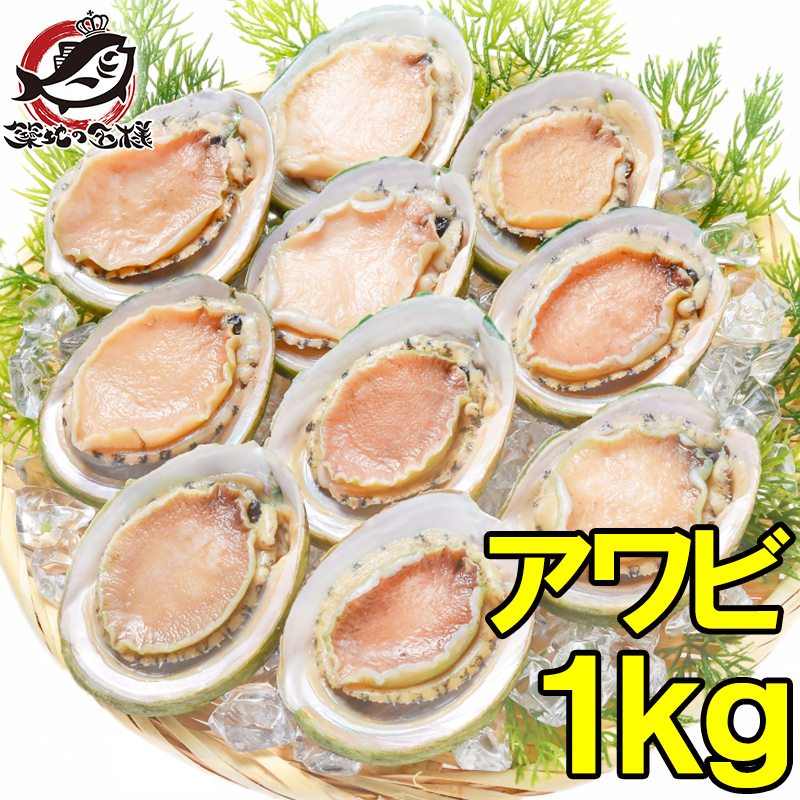 アワビ あわび Lサイズ 1kg 1箱12個入り(殻つきお刺身用アワビ