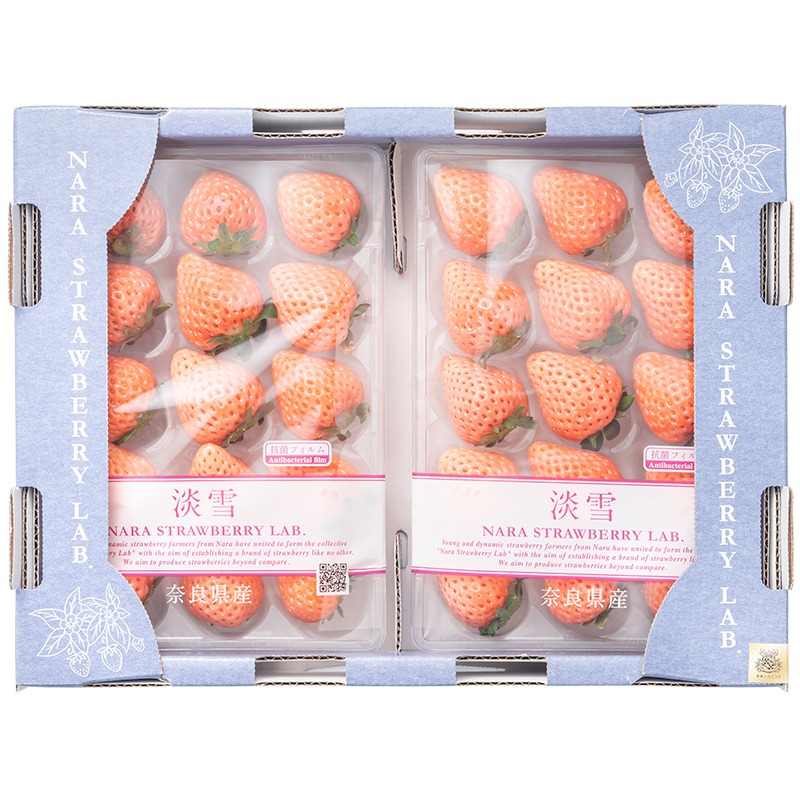 いちご 白いちご 淡雪 DX 等級 あわゆき 250g×2パック 合計500g