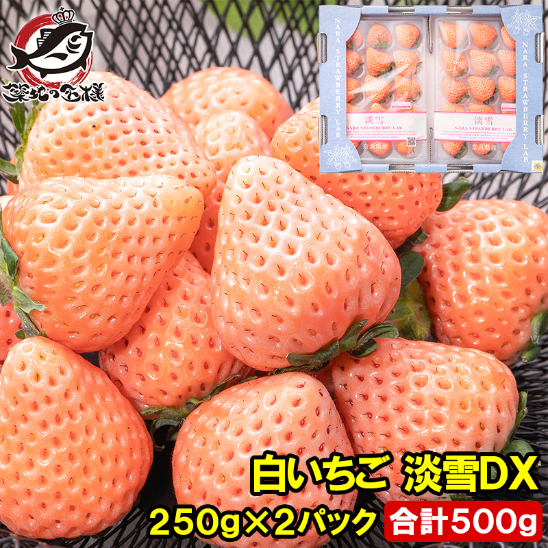 いちご 白いちご 淡雪 DX 等級 あわゆき 250g×2パック 合計500g