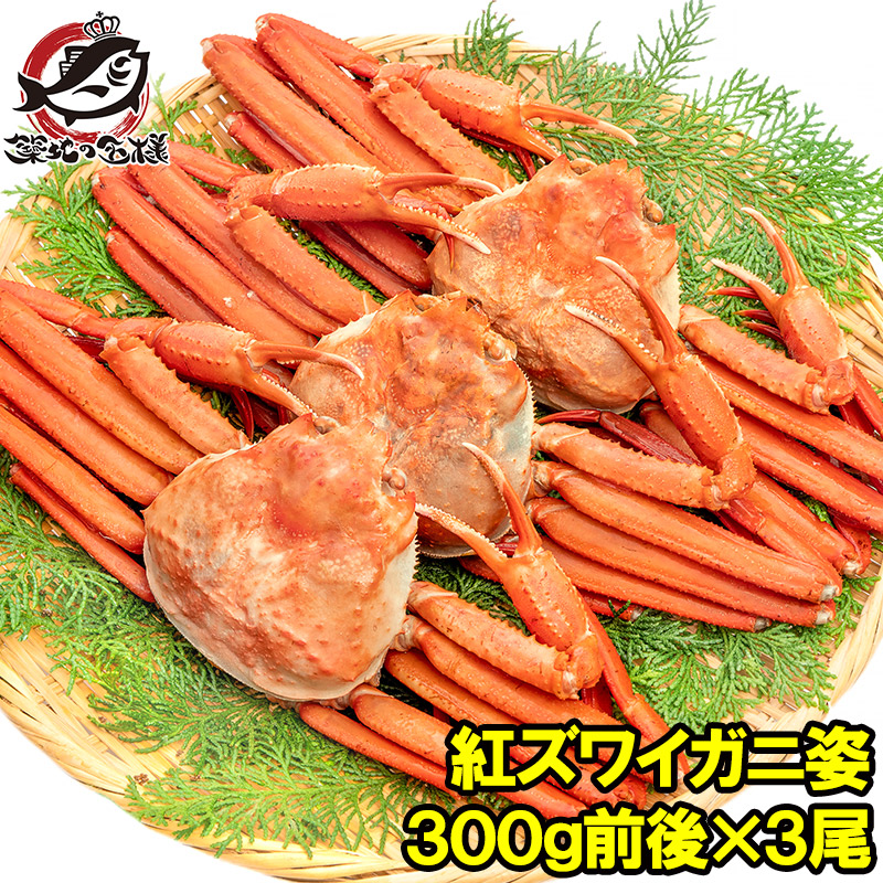 ズワイガニ 姿 紅ズワイガニ 900g 300g前後×3尾 冷凍ゆでがに 紅