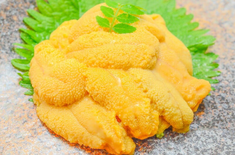 塩水ウニ100g