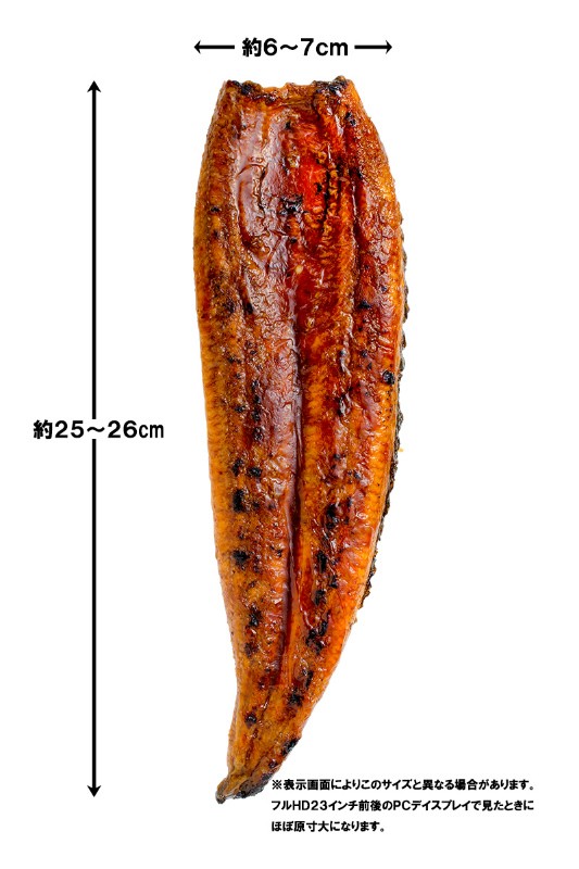 うなぎ蒲焼き