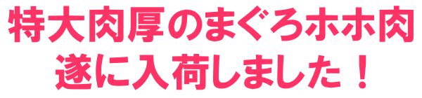 特大肉厚のまぐろホホ肉遂に入荷しました