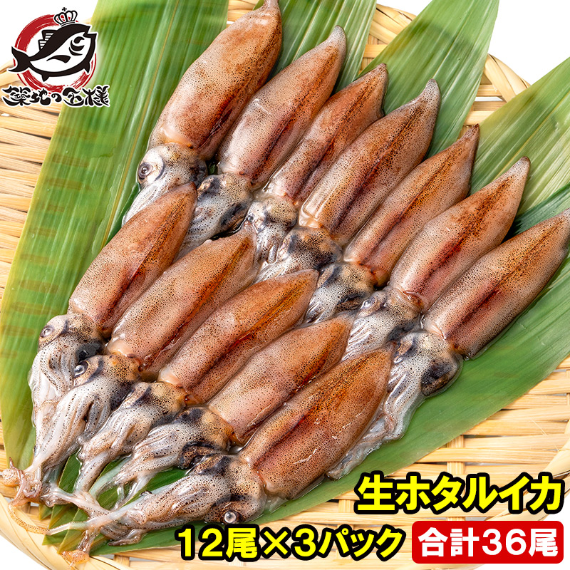 高級グレード 生ホタルイカ ほたるいか 合計36尾 12尾(約120g)×3