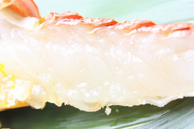 伊勢海老&ロブスターセット