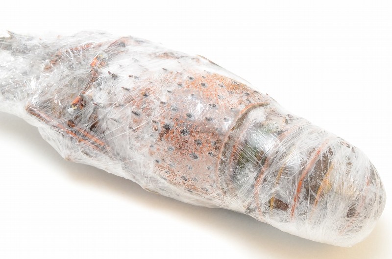 伊勢海老&ロブスターセット