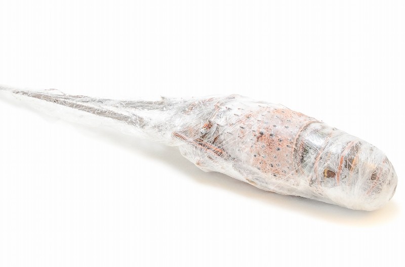 伊勢海老&ロブスターセット